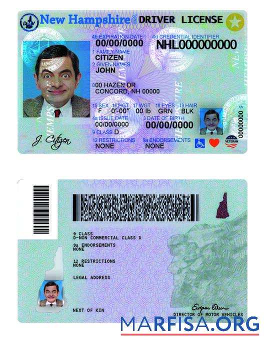 Realistic USA New Hampshire driving license sample